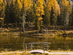 -老仁义·清真菜(太古街店)