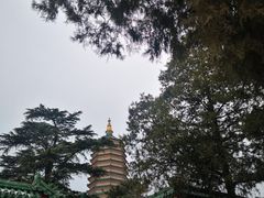 -八大处公园