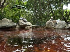 -湖泉半山温泉(湖泉生态园)