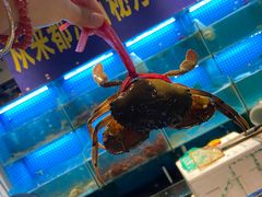 -九月海·海鲜自助(世纪东方店)