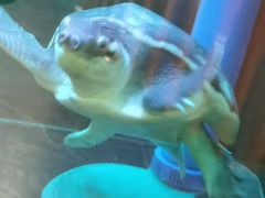 -长赢养生(平度店)