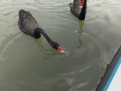 -昆山城市生态森林公园