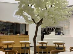 -艾薯夫妇Aysh(福田星河COCOPark店)