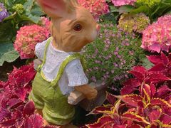 -人民公园(罗湖区)