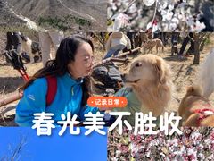 -妙峰山风景名胜区