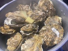 -千岛蚝高压锅生蚝·人参火锅(白云万达店)