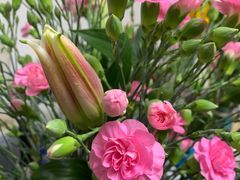 -金陵花卉交易市场