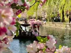 -元大都城垣遗址公园