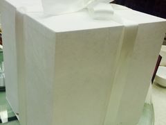 -BLACKSWAN黑天鹅(环球店)