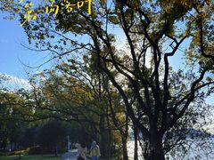 -东湖落雁景区