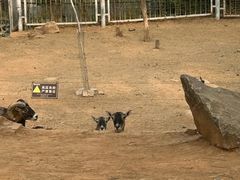 -济南野生动物世界