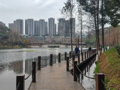 -重庆彩云湖湿地公园