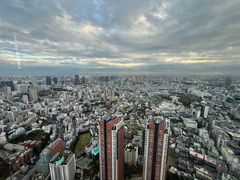 -六本木新城展望台(东京城市景观)