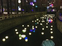 -锦江乐园舞狸花花游园会(夜场专享)