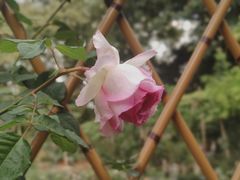 -人民公园(罗湖区)