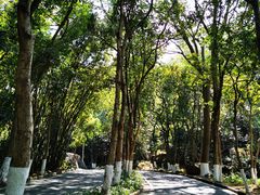 -火炉山森林公园