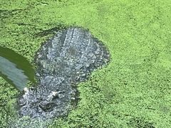 -常州淹城野生动物世界