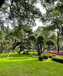 -皇家月府月子中心(沈阳店)