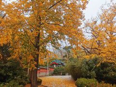 -青岛崂山太清宫