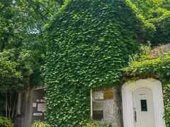 -南山植物园