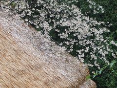 -中国茶叶博物馆(双峰馆区)