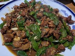 -食鸡公社辣子鸡·潍坊菜·烧烤