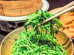 -玖五京菜(杭州城北万象城店)