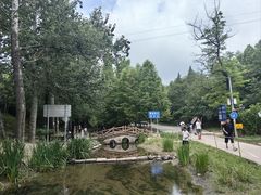 -白水寺森林公园