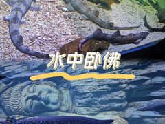 -重庆欢乐海底世界