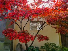 -惠山古镇·寄畅园