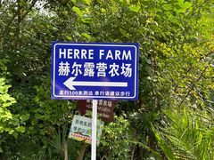 -HERRE·FARM 赫尔露营农场·团建聚会包场