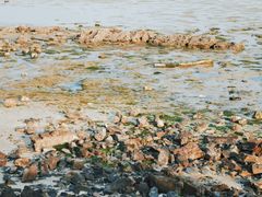 -北海金海湾红树林生态旅游区