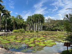 -中国科学院西双版纳热带植物园