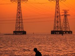 -宝安西湾红树林湿地公园