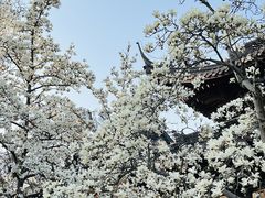 -灵谷景区