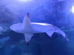 -常州海昌海洋探索馆