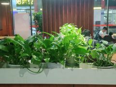 大堂-多福饺·家常菜(谷德店)