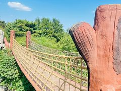 -北京西山国家森林公园