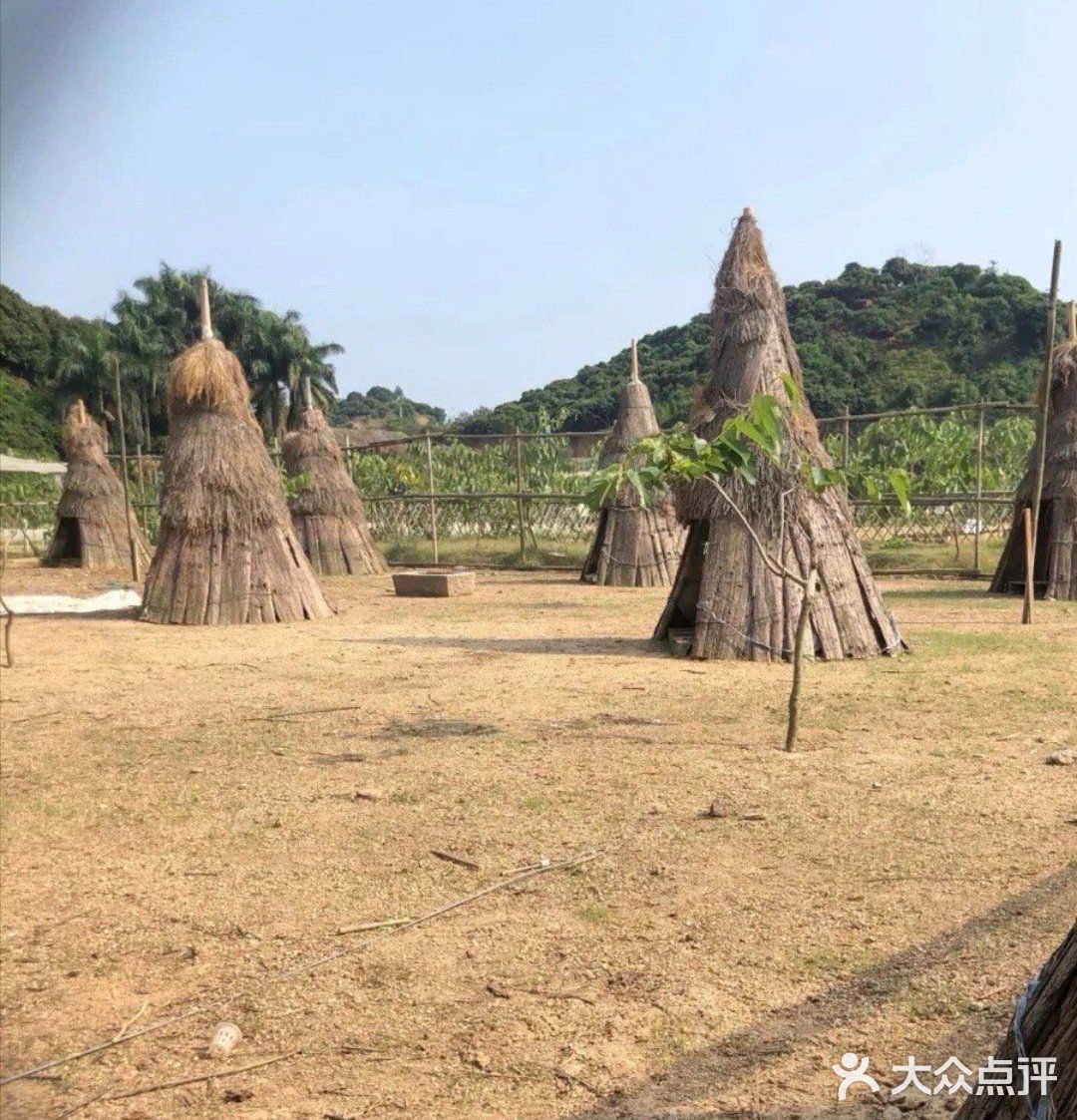 夏日遛娃丨远离喧嚣的人群，享受郊野的稀疏