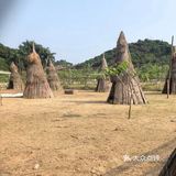 夏日遛娃丨远离喧嚣的人群，享受郊野的稀疏