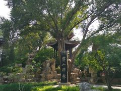 -碑林公园