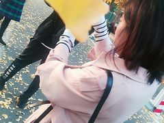 -三里屯东五街银杏大道