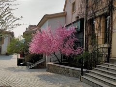 -北京张裕爱斐堡酒庄