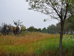 -野鸭湖国家湿地公园