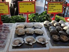 -蚝专家(北滘店)