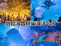 -烟台海昌鲸鲨海洋公园