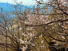 -棋盘山风景区