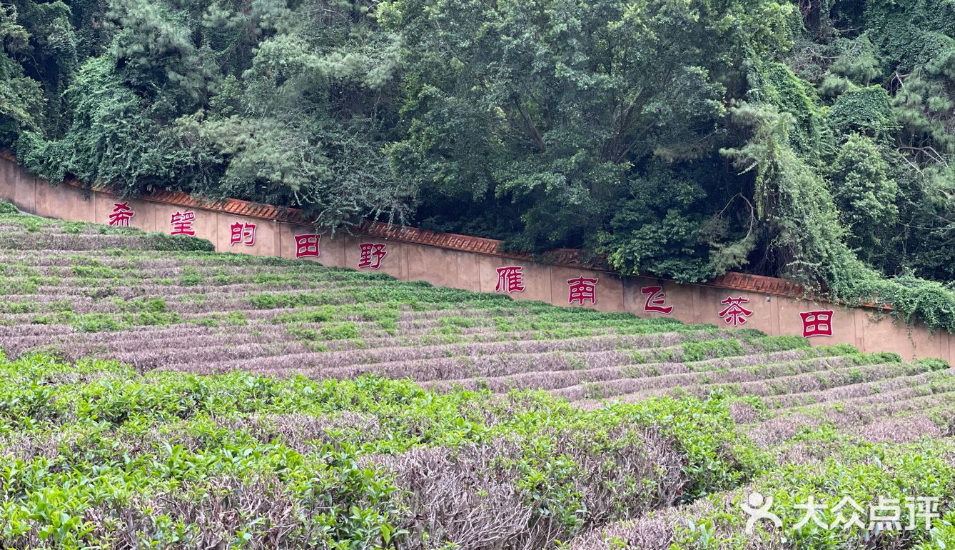发现梅州的美好