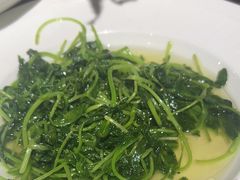 -金枝玉叶上海人家食府(三里河店)