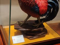 -金时代顺风大酒店(金山店)